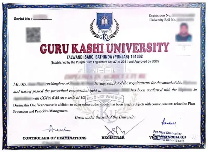 Sample certificate — Guru Kashi University